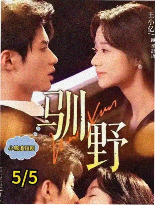 春日来信